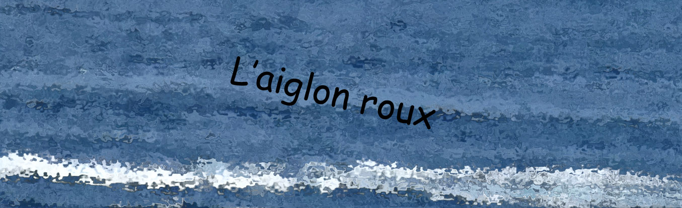 aiglon roux